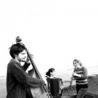 hugo-blouin_harengs-cuivres_musique_2007-a-aujourdhui